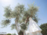 Destination Wedding Ostuni PUGLIA fotografo matrimonio puglia